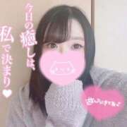 ヒメ日記 2026/01/14 07:43 投稿 メグミ バニーコレクション秋田店