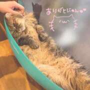 ヒメ日記 2026/02/10 23:05 投稿 メグミ バニーコレクション秋田店