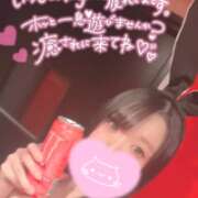 ヒメ日記 2026/02/15 12:23 投稿 メグミ バニーコレクション秋田店