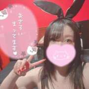 ヒメ日記 2026/02/21 07:03 投稿 メグミ バニーコレクション秋田店