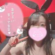 ヒメ日記 2026/02/21 07:13 投稿 メグミ バニーコレクション秋田店