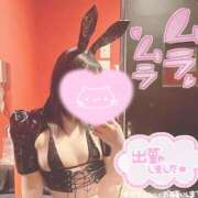 ヒメ日記 2026/02/22 07:06 投稿 メグミ バニーコレクション秋田店