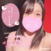 ヒメ日記 2026/03/09 12:20 投稿 メグミ バニーコレクション秋田店