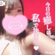 ヒメ日記 2026/03/10 07:04 投稿 メグミ バニーコレクション秋田店