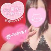 ヒメ日記 2026/03/30 07:12 投稿 メグミ バニーコレクション秋田店