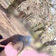 ヒメ日記 2026/04/07 13:19 投稿 メグミ バニーコレクション秋田店