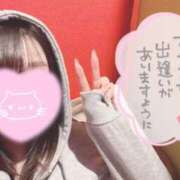 ヒメ日記 2026/04/10 13:17 投稿 メグミ バニーコレクション秋田店