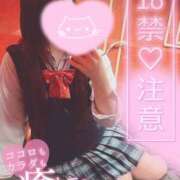 ヒメ日記 2026/04/11 07:09 投稿 メグミ バニーコレクション秋田店