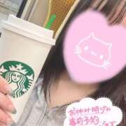 ヒメ日記 2026/04/24 20:14 投稿 メグミ バニーコレクション秋田店