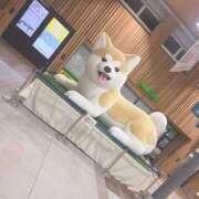 ヒメ日記 2026/05/23 00:09 投稿 メグミ バニーコレクション秋田店