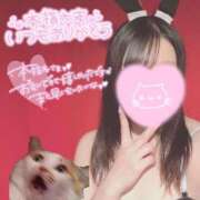 メグミ 💌11月ぶりに会いに来てくれた本指名のお兄さん バニーコレクション秋田店