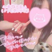 ヒメ日記 2026/06/26 19:31 投稿 メグミ バニーコレクション秋田店