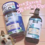 メグミ どなたですかー？😭 バニーコレクション秋田店