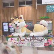 ヒメ日記 2026/09/22 00:13 投稿 メグミ バニーコレクション秋田店
