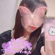 ヒメ日記 2026/09/23 12:34 投稿 メグミ バニーコレクション秋田店