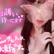 ヒメ日記 2026/10/20 13:22 投稿 メグミ バニーコレクション秋田店