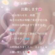 ヒメ日記 2025/05/04 10:01 投稿 石川さき おいしい人妻熟女