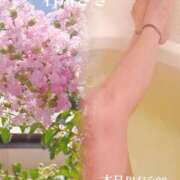 ヒメ日記 2026/07/23 10:31 投稿 石川さき おいしい人妻熟女