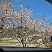 ヒメ日記 2026/04/13 09:45 投稿 ななお ギン妻パラダイス 和歌山店