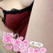 ヒメ日記 2025/02/14 01:09 投稿 睡蓮 BBW（ビッグビューティフルウーマン）