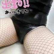 ヒメ日記 2025/02/14 12:39 投稿 睡蓮 BBW（ビッグビューティフルウーマン）