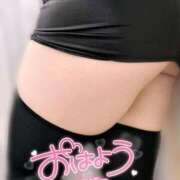 ヒメ日記 2025/03/09 08:31 投稿 睡蓮 BBW（ビッグビューティフルウーマン）