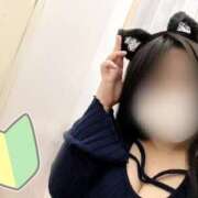 ヒメ日記 2025/04/01 12:39 投稿 睡蓮 BBW（ビッグビューティフルウーマン）