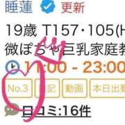 ヒメ日記 2025/05/01 12:09 投稿 睡蓮 BBW（ビッグビューティフルウーマン）