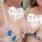 ヒメ日記 2025/05/31 21:19 投稿 睡蓮 BBW（ビッグビューティフルウーマン）