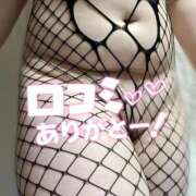 ヒメ日記 2025/07/15 15:39 投稿 睡蓮 BBW（ビッグビューティフルウーマン）