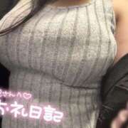 ヒメ日記 2025/09/04 13:20 投稿 睡蓮 BBW（ビッグビューティフルウーマン）