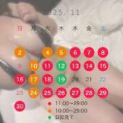 ヒメ日記 2025/11/01 08:09 投稿 睡蓮 BBW（ビッグビューティフルウーマン）