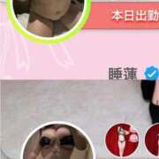 ヒメ日記 2025/11/28 10:09 投稿 睡蓮 BBW（ビッグビューティフルウーマン）