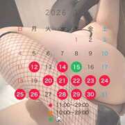 睡蓮 💐1月しふと🎀ིྀ🎀ིྀ🎀ིྀ🎀ིྀ BBW（ビッグビューティフルウーマン）