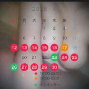 ヒメ日記 2026/04/11 20:39 投稿 睡蓮 BBW（ビッグビューティフルウーマン）