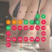 ヒメ日記 2026/05/01 17:49 投稿 睡蓮 BBW（ビッグビューティフルウーマン）