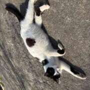 ヒメ日記 2025/03/28 16:28 投稿 みずき 舐めフェチの会