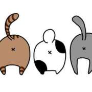 ヒメ日記 2025/11/14 11:41 投稿 みずき 舐めフェチの会