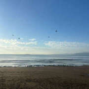 ヒメ日記 2025/11/16 00:32 投稿 みらい プレイガール(亀有)