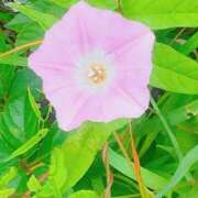 ヒメ日記 2025/06/02 13:43 投稿 小林 あずさ ベストマダム