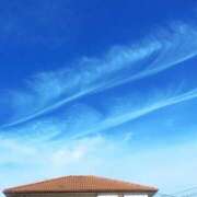 ヒメ日記 2025/11/02 07:40 投稿 小林 あずさ ベストマダム