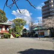 ヒメ日記 2025/04/04 17:56 投稿 じゅん 木更津人妻花壇