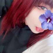 ヒメ日記 2025/04/02 13:36 投稿 コバンザメ 女の子市場　川越店