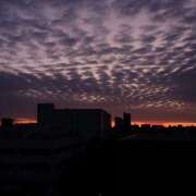 ヒメ日記 2025/10/04 03:35 投稿 飛鳥 池田マッサージ