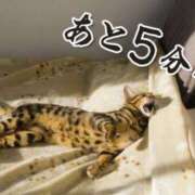 ヒメ日記 2026/06/12 12:19 投稿 飛鳥 池田マッサージ