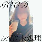 ヒメ日記 2025/04/10 09:30 投稿 THE 未処理 GOOD-グッド-