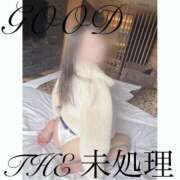 ヒメ日記 2025/10/10 06:04 投稿 THE 未処理 GOOD-グッド-