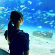 ヒメ日記 2025/07/15 22:47 投稿 ゆずな プリティラビット