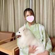 ゆずな 旅行♨️ プリティラビット