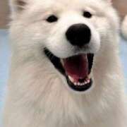 ヒメ日記 2025/06/16 10:16 投稿 カグラ COCOMERO（ココメロ）